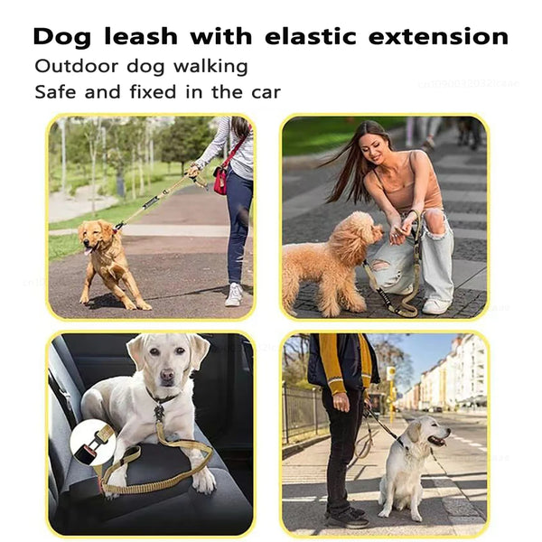 Doggo Gear Bungee Dog Leash