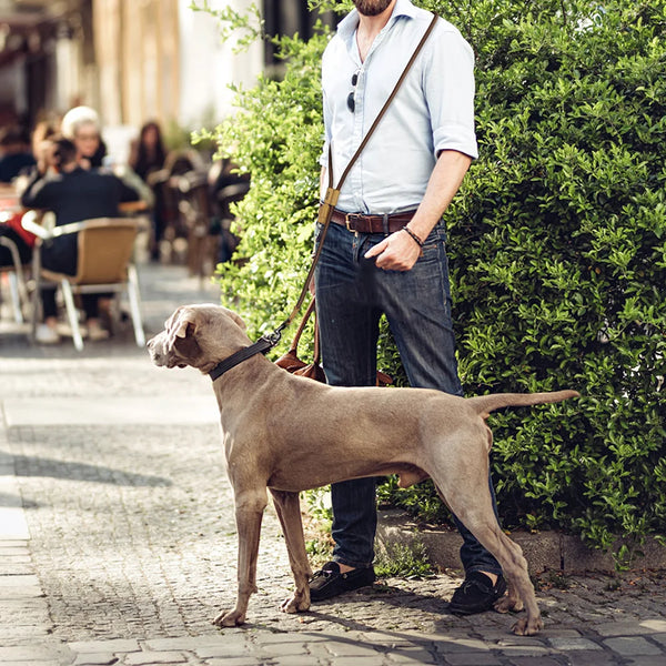 Hands-Free Running Dog Leash